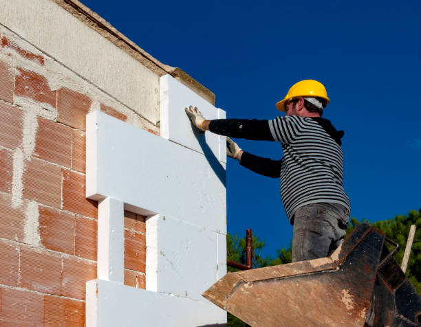 Best Insulation Maintenance and Repair in Springville, VA